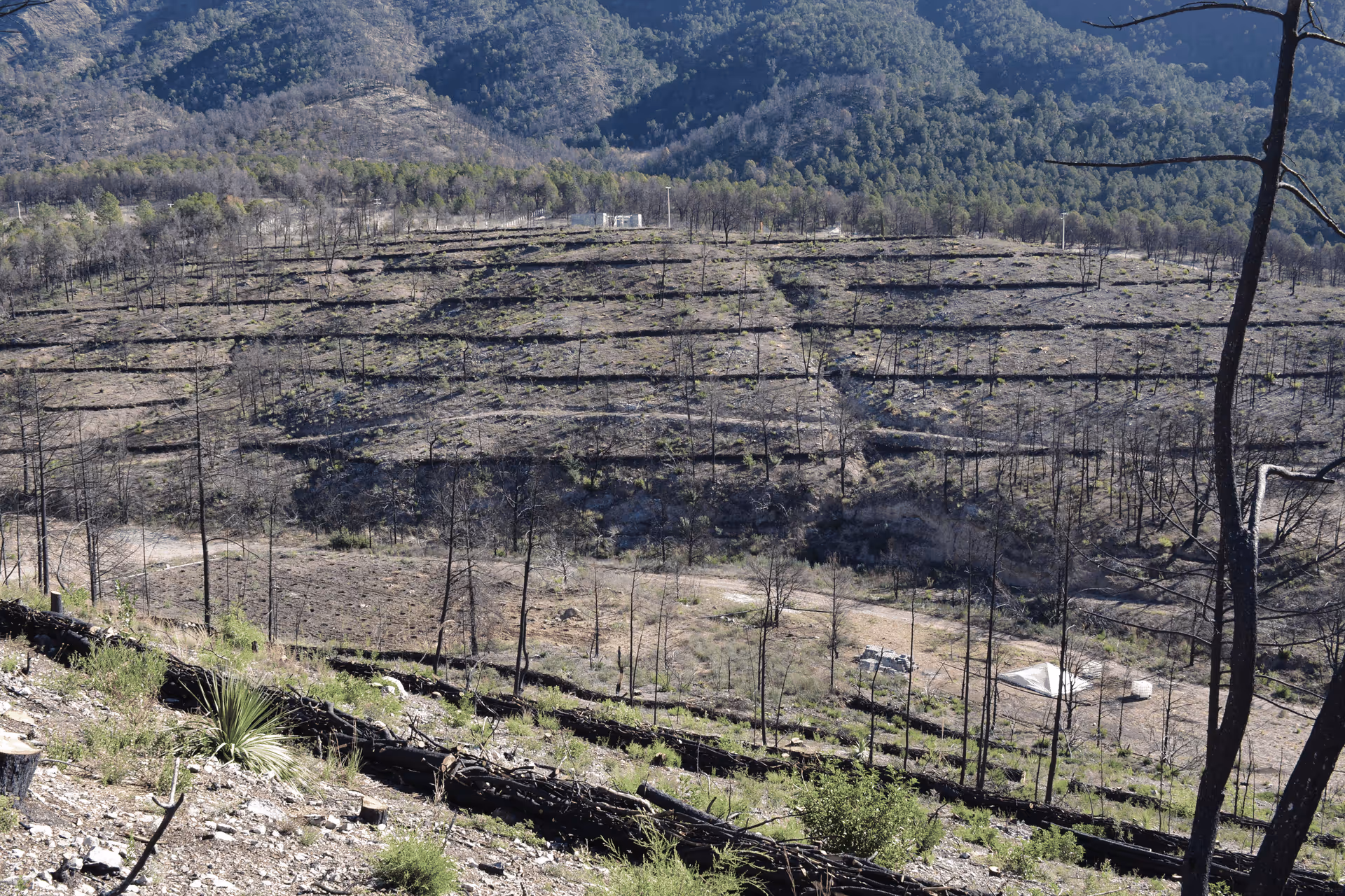 Imagen de Obras de Suelo, Nuevo León