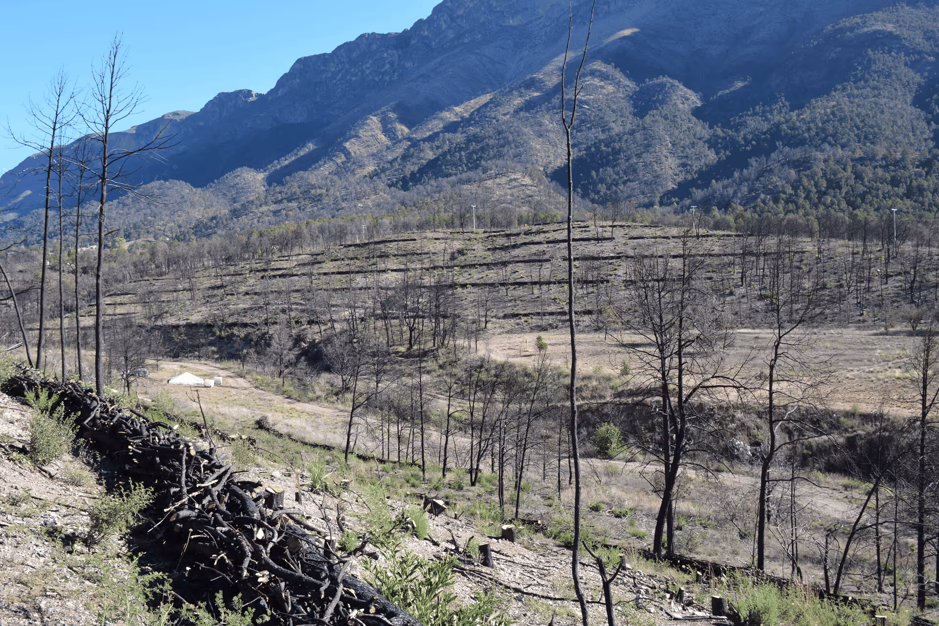 Imagen de Obras de Suelo, Nuevo León