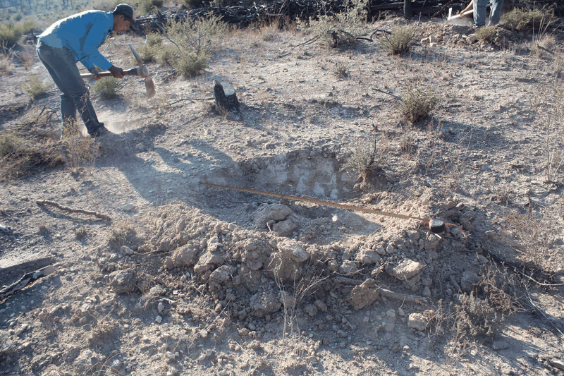 Imagen de Reforestación, Nuevo León