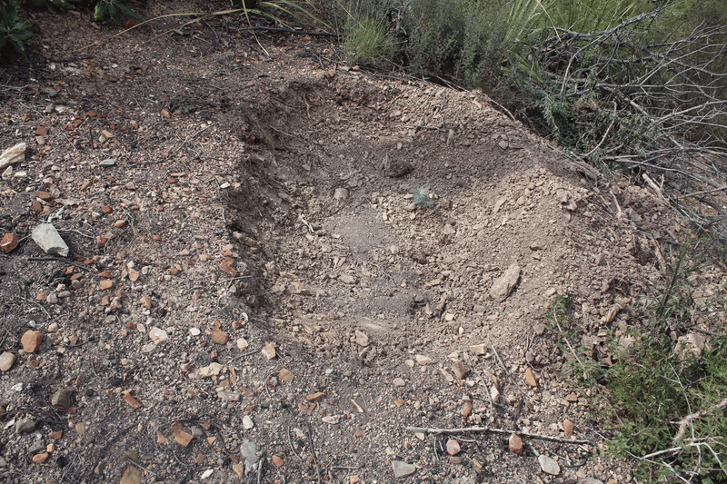 Imagen de Reforestación, Nuevo León