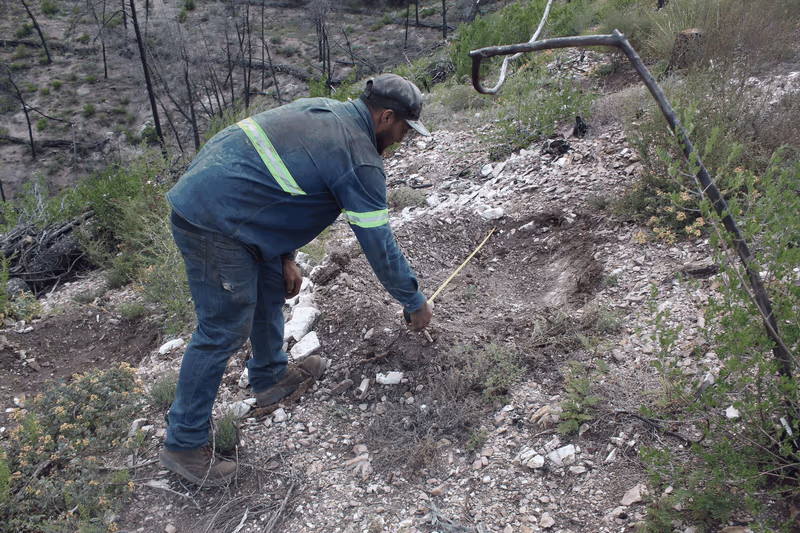 Imagen de Reforestación, Nuevo León