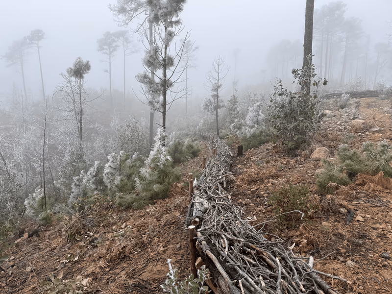 Imagen de Obras de Suelo, Nuevo León