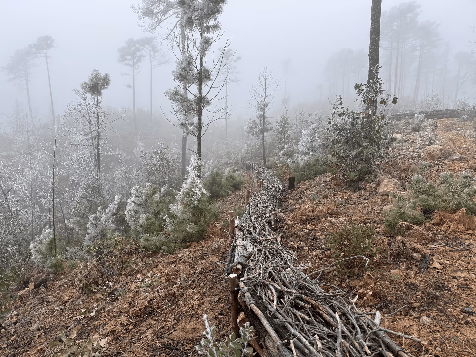Imagen de Obras de Suelo, Nuevo León