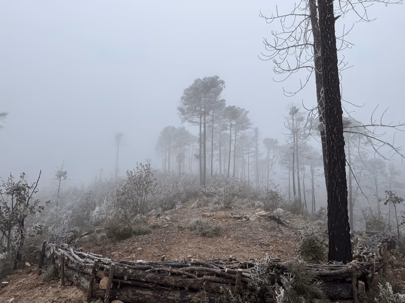 Imagen de Obras de Suelo, Nuevo León
