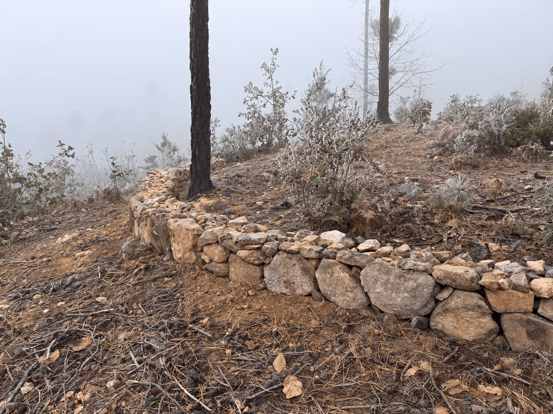 Imagen de Obras de Suelo, Nuevo León