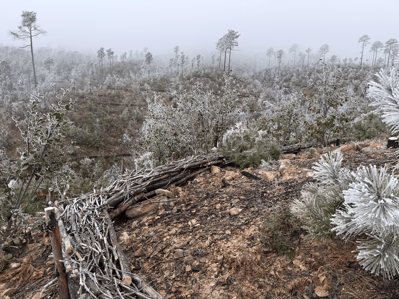 Imagen de Obras de Suelo, Nuevo León