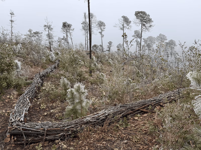 Imagen de Obras de Suelo, Nuevo León