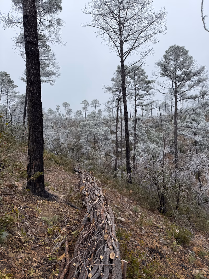 Imagen de Obras de Suelo, Nuevo León