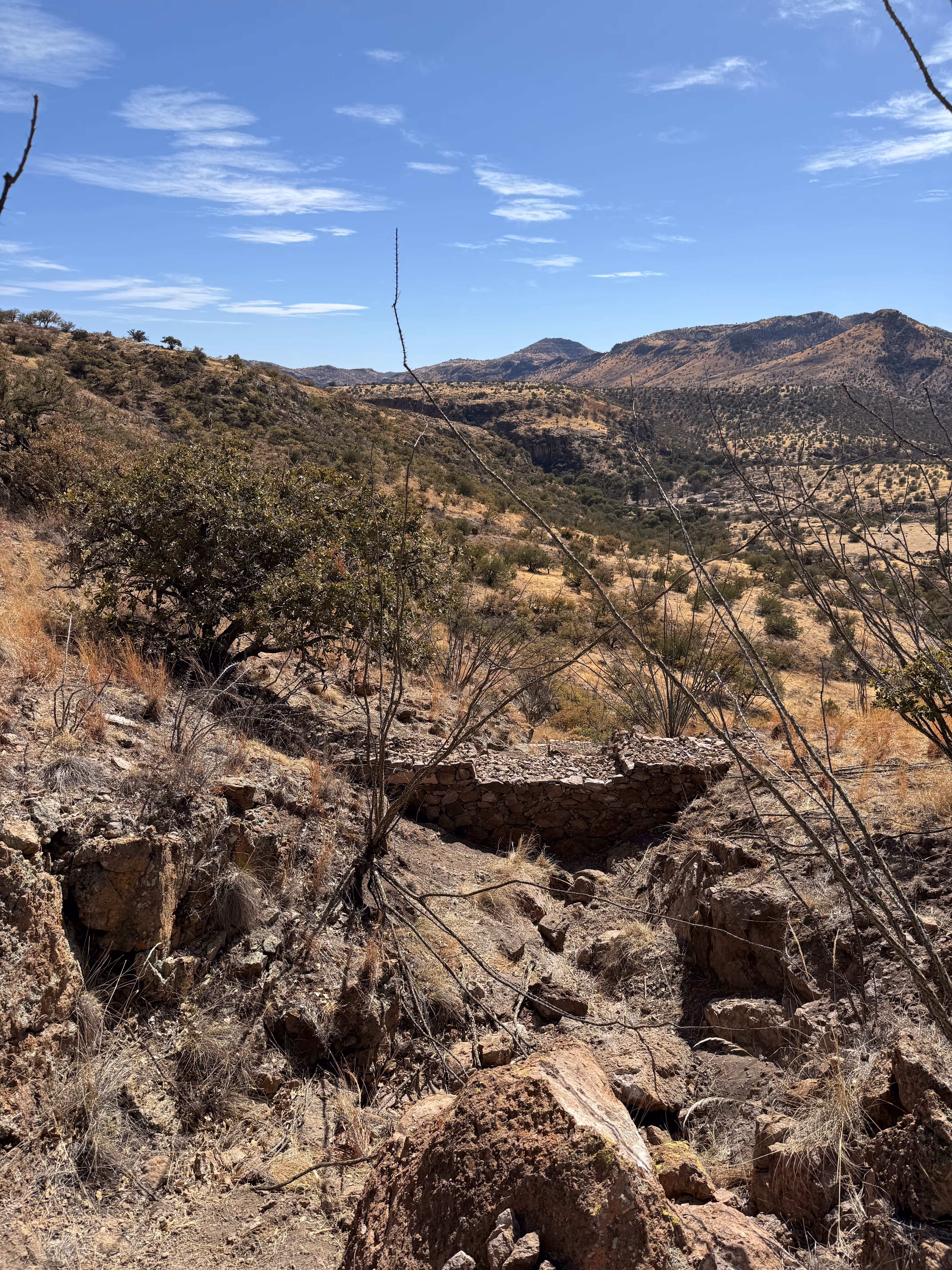 Imagen de Chihuahua