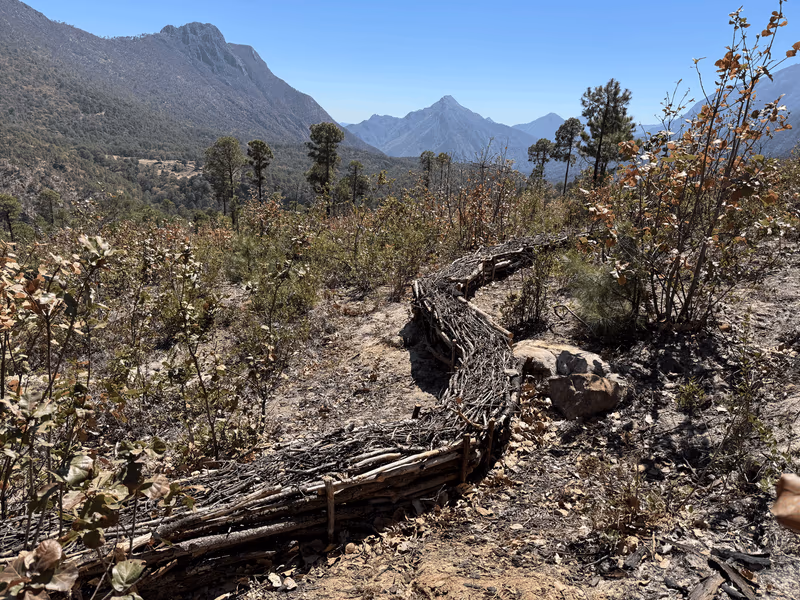 Imagen de Obras de Suelo, Nuevo León