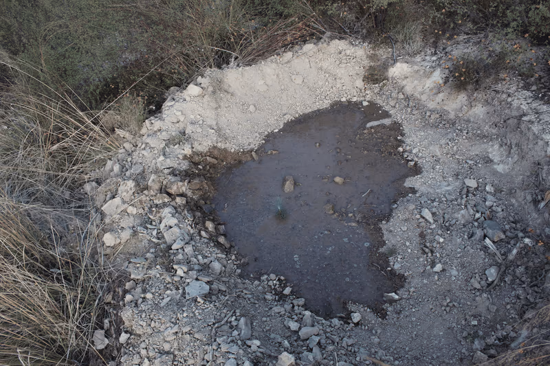Imagen de Reforestación, Nuevo León