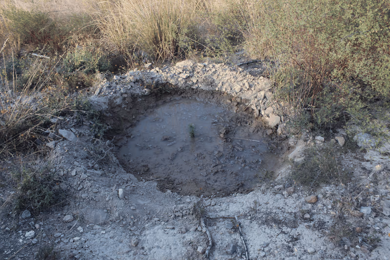 Imagen de Reforestación, Nuevo León