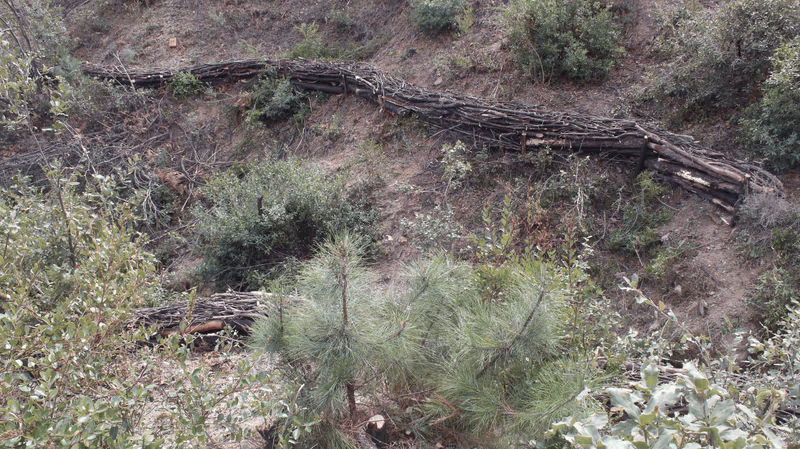 Imagen de Obras de Suelo, Nuevo León