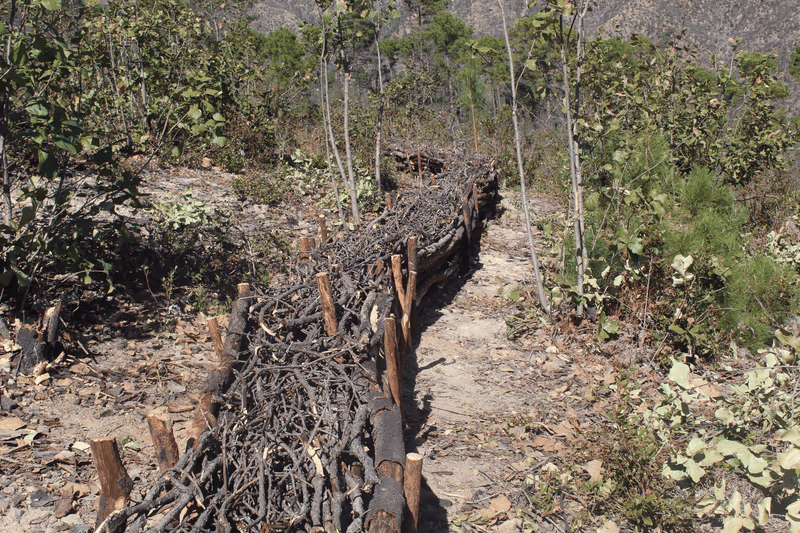 Imagen de Obras de Suelo, Nuevo León