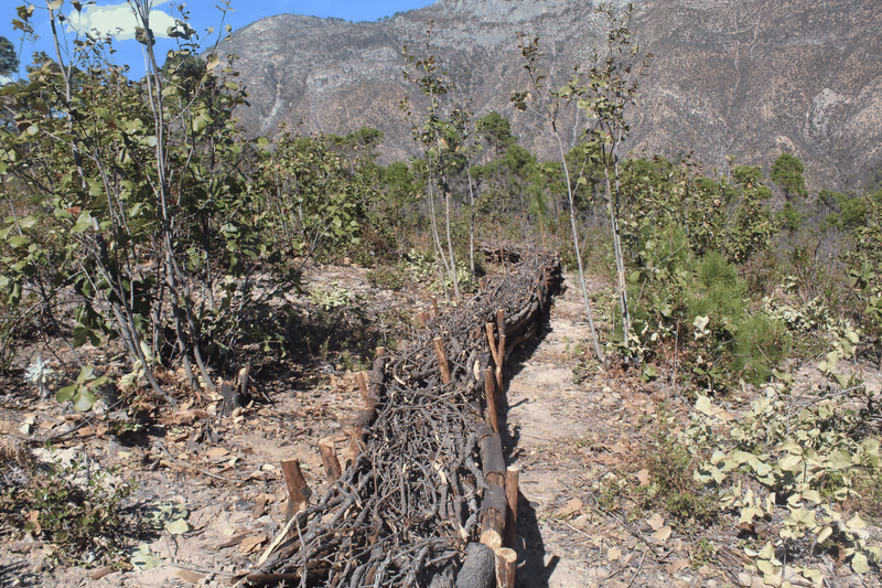 Imagen de Obras de Suelo, Nuevo León