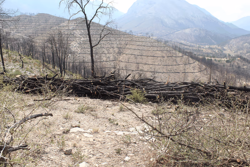 Imagen de Obras de Suelo, Nuevo León