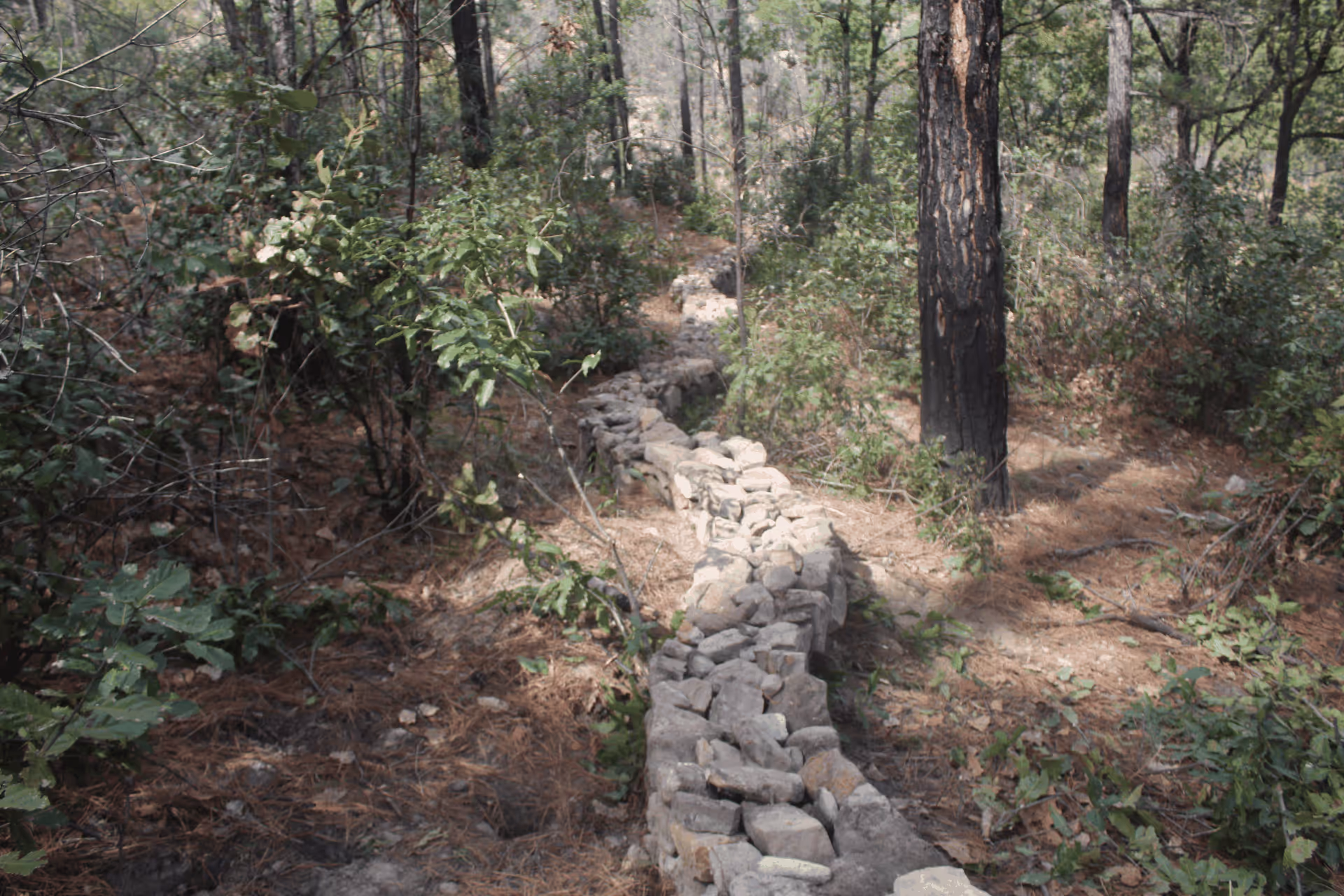 Imagen de Obras de Suelo, Nuevo León