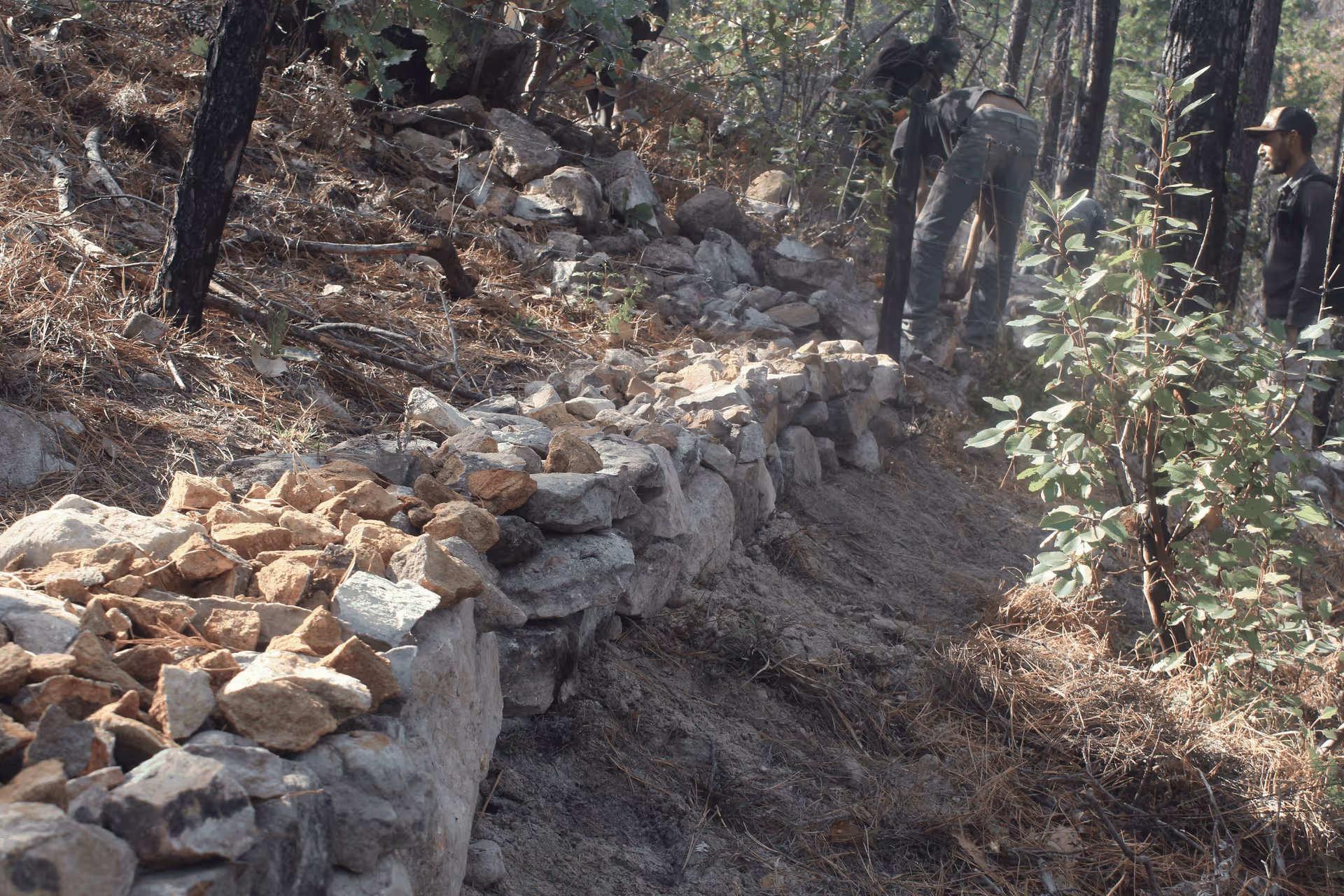 Imagen de Obras de Suelo, Nuevo León