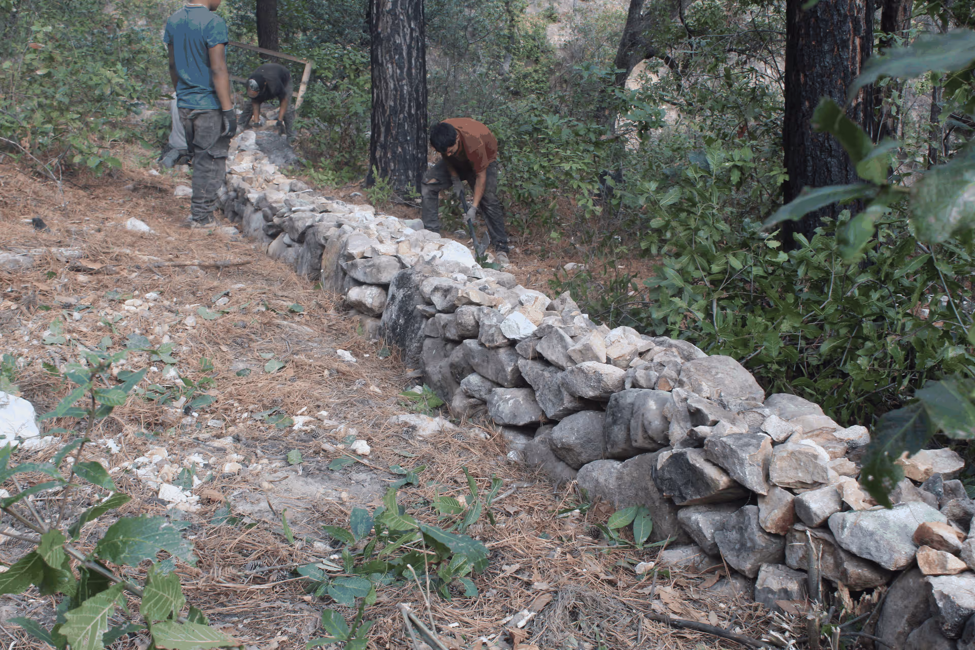 Imagen de Obras de Suelo, Nuevo León