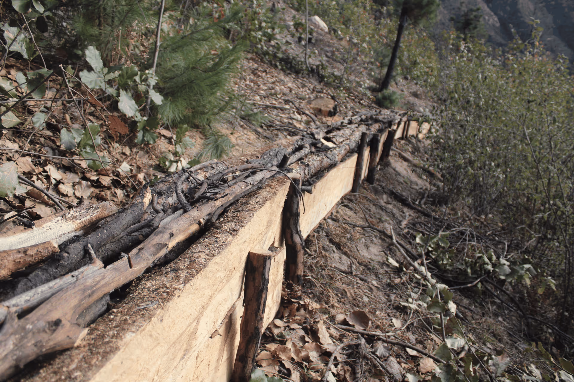 Imagen de Obras de Suelo, Nuevo León