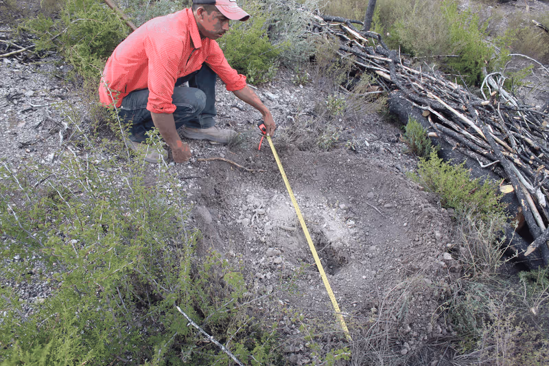 Imagen de Reforestación, Nuevo León