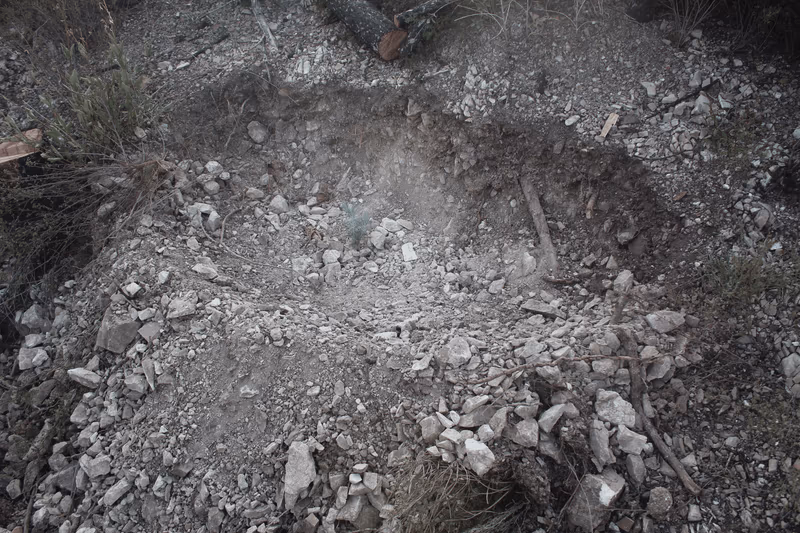 Imagen de Reforestación, Nuevo León